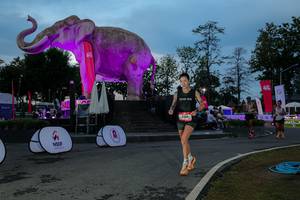 BIB: 
                            <button type="button" onclick="openModal(26529676)" class="btn btn-primary btn-sm float-right btn-popup" data-toggle="modal" data-target=".modal-high-quality">
                        <i class="fas fa-shopping-cart"></i> Add to Cart
                    </button>
                                            <button type="button" onclick="isThisMe(26529676, true)" class="btn btn-success btn-sm float-right btn-popup btn-isme hidden" data-toggle="tooltip" data-placement="bottom" title="นี่คือรูปของคุณใช่ไหม คลิกที่นี่เพื่อเอาเข้าอัลบั้ม">
                        <i class="fas fa-plus"></i> Add to album
                    </button>
                    <button type="button" onclick="isThisMe(26529676, false)" class="btn btn-warning btn-sm float-right btn-popup btn-isnotme hidden">
                        <i class="fas fa-ban"></i> Remove from album
                    </button>